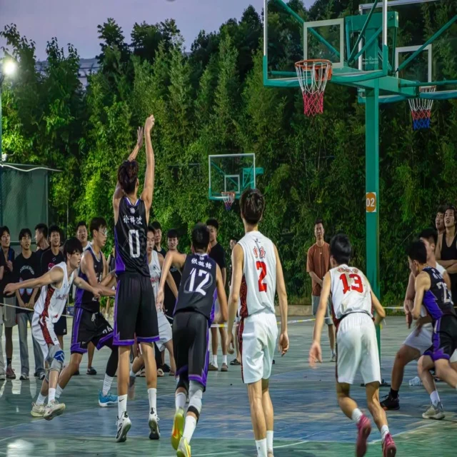 体育新闻热点追踪之数据揭秘第1165组背后故事